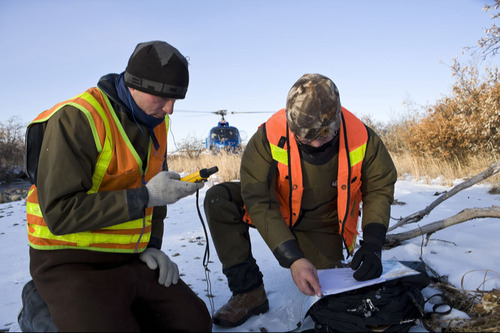 Д.ТРАМП ХОВОР ЭЛЕМЕНТИЙН САЛБАРЫГ БОДЛОГООР ДЭМЖИНЭ